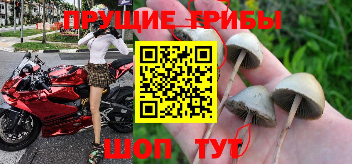 Псилоцибиновые грибы Magic Shrooms Ногинск