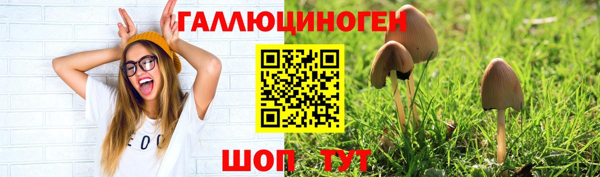 Ногинск  Галлюциногенные грибы Cubensis  Вход с VPN 